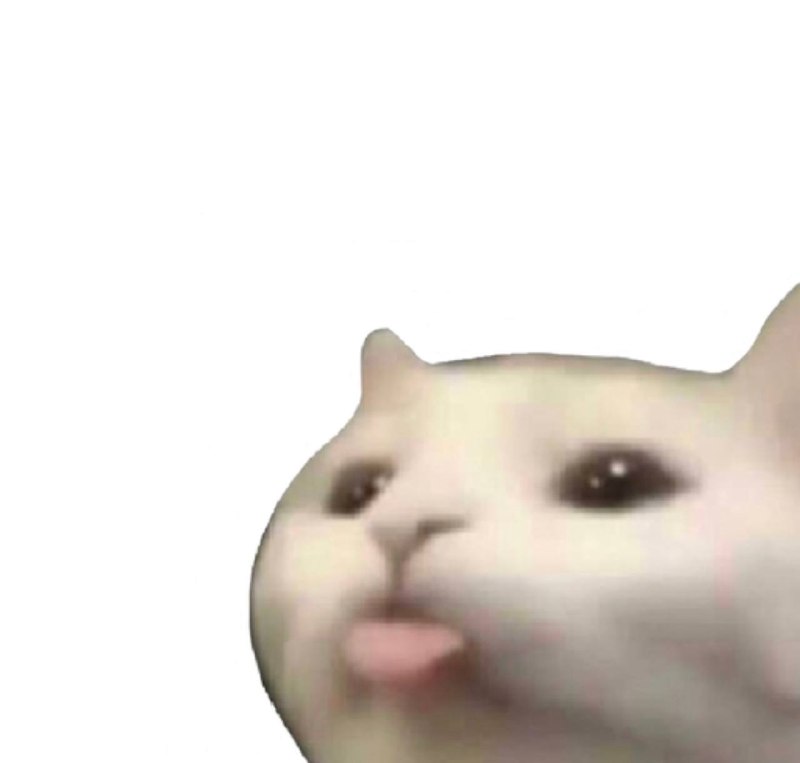 Bleh cat sticking its tongue out